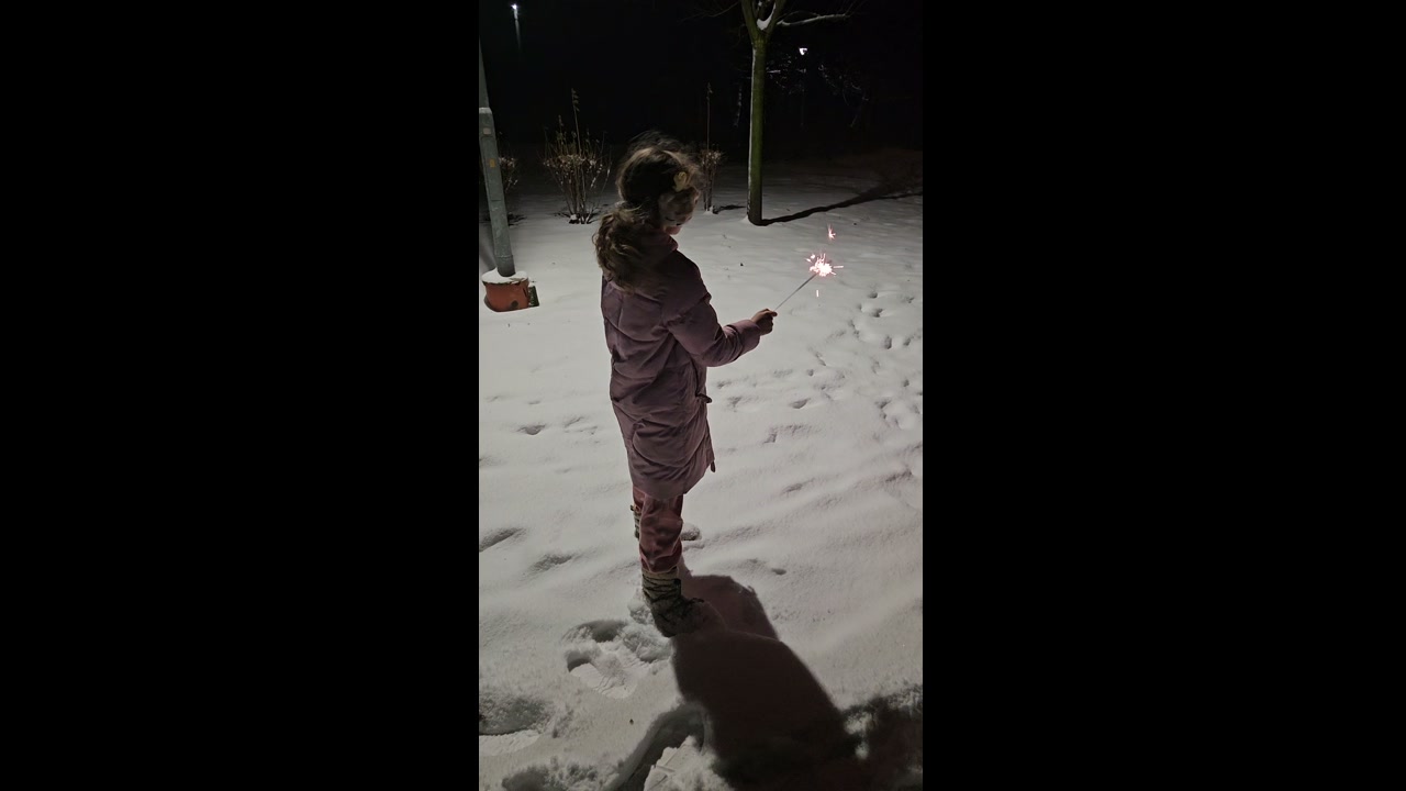 Video 1. 1. 2026 00:20