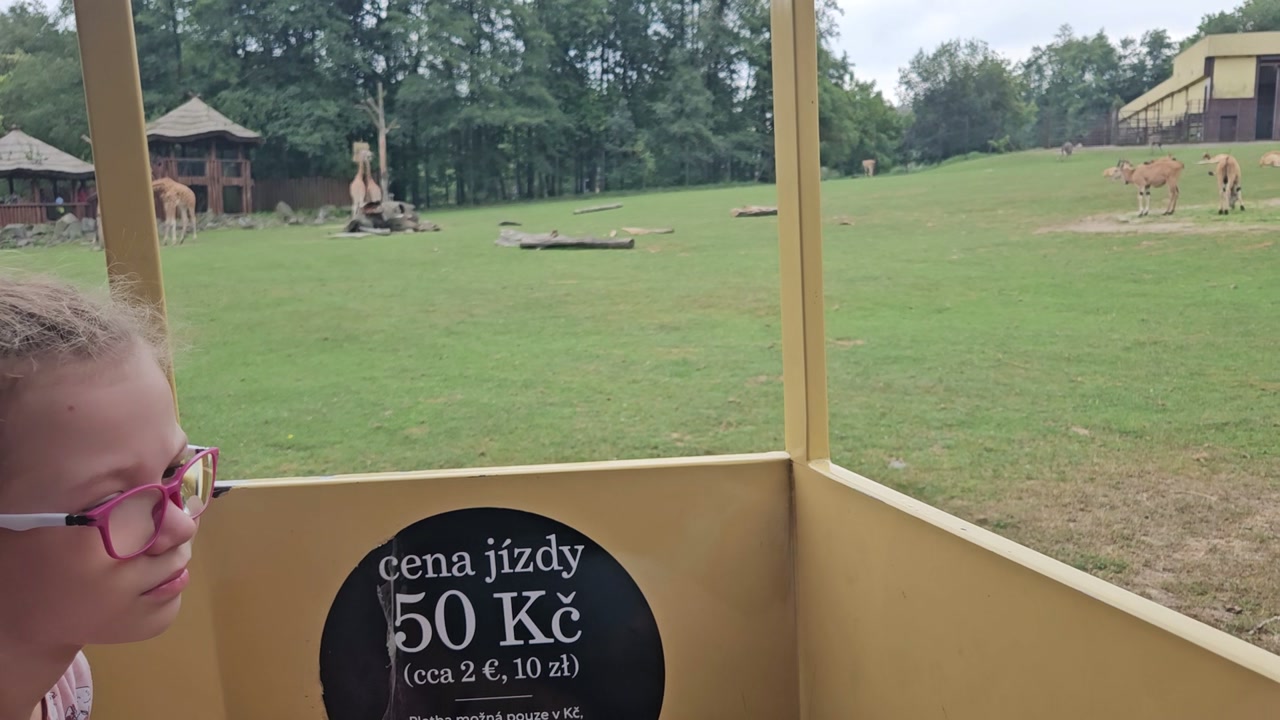 Video 1. 9. 2024 12:33