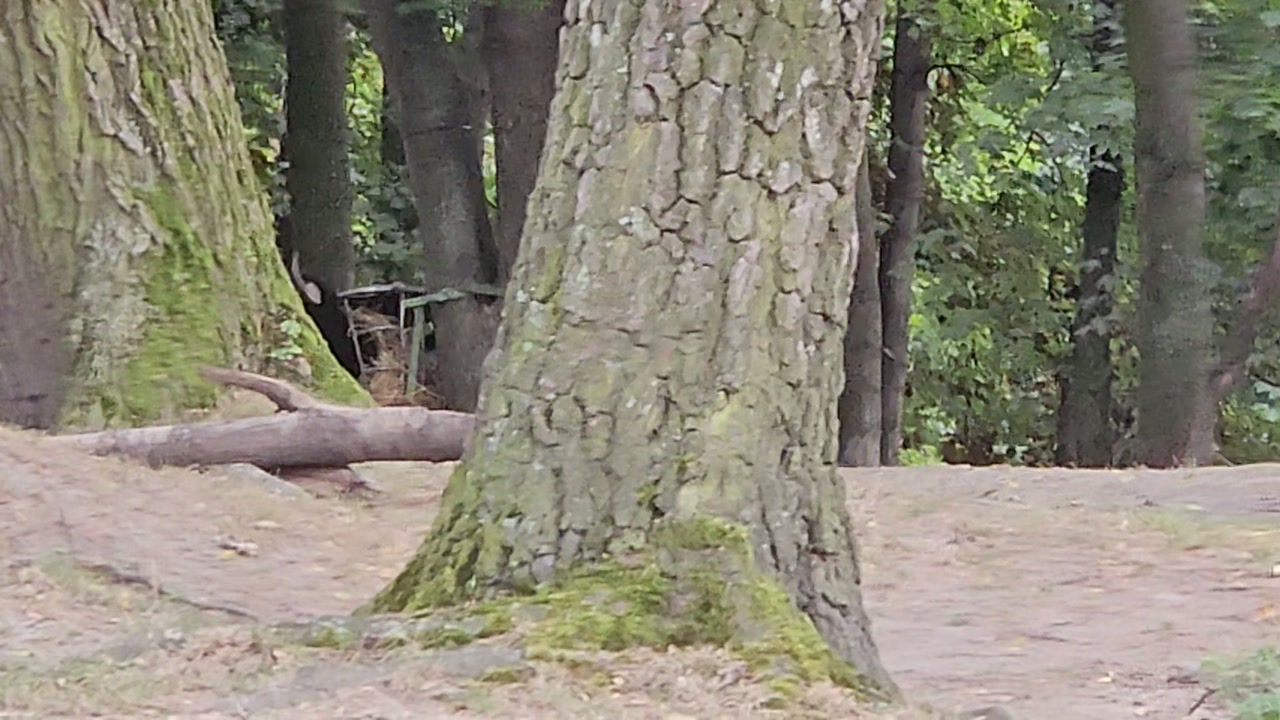 Video 1. 9. 2024 12:46