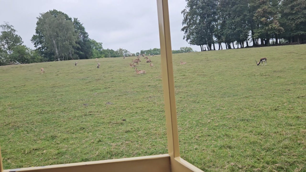 Video 1. 9. 2024 12:50