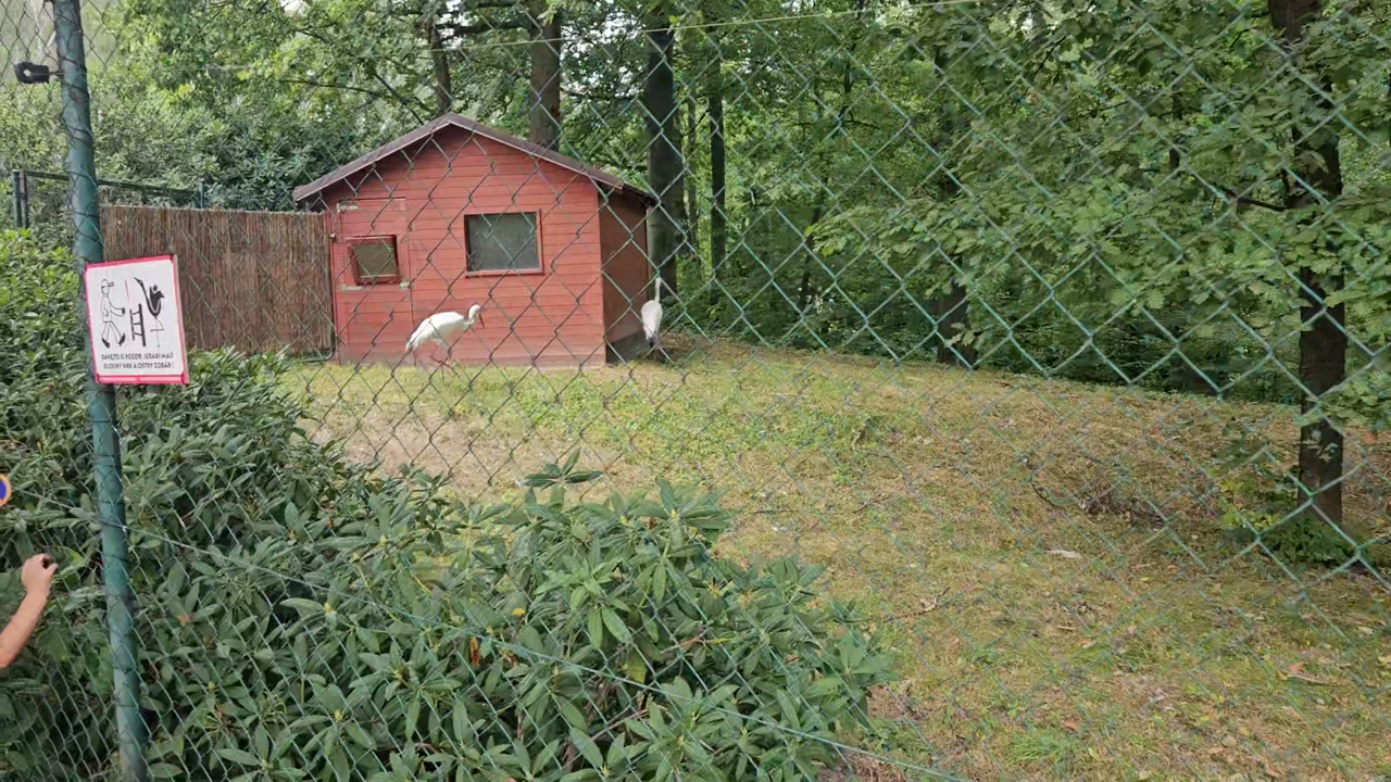 Video 1. 9. 2024 13:08