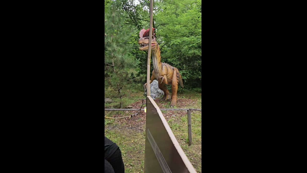 Video 11. 7. 2025 11:53