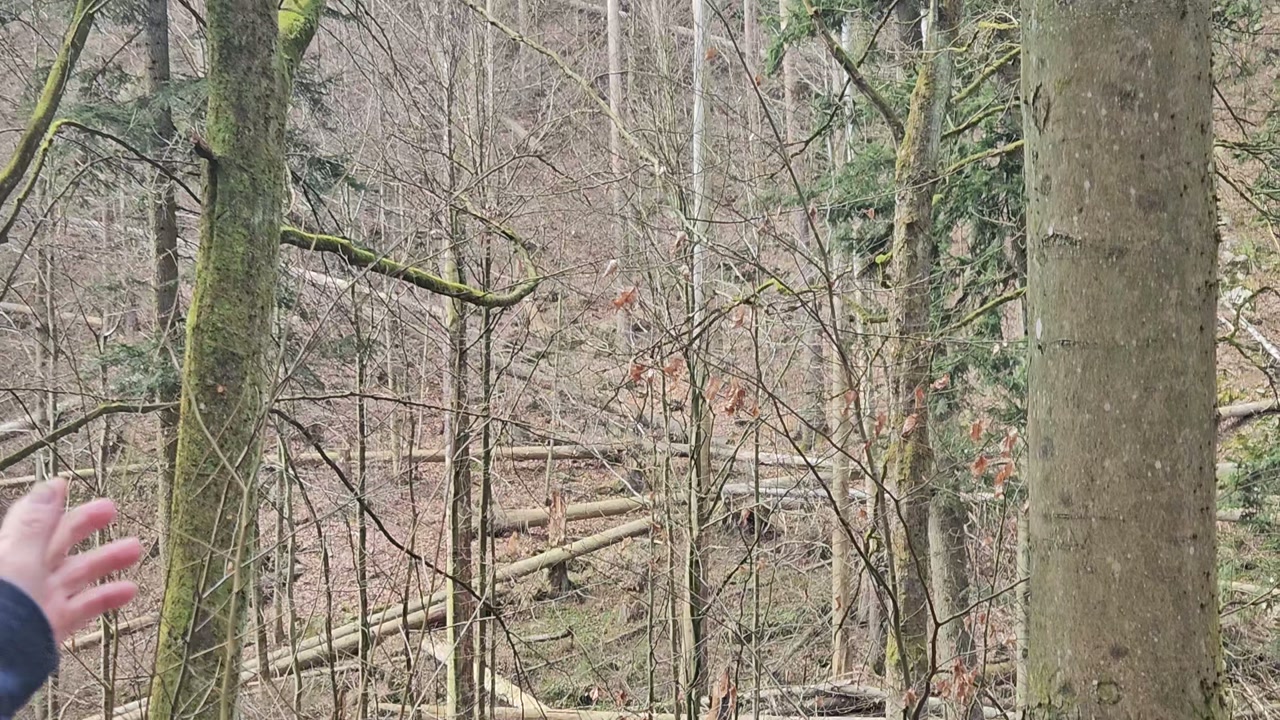 Video 15. 3. 2026 11:48