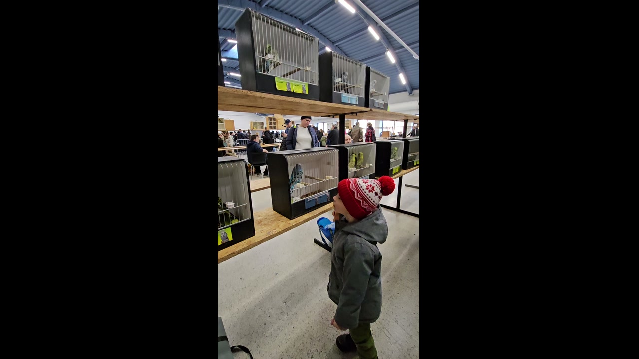 Video 23. 2. 2025 08:53