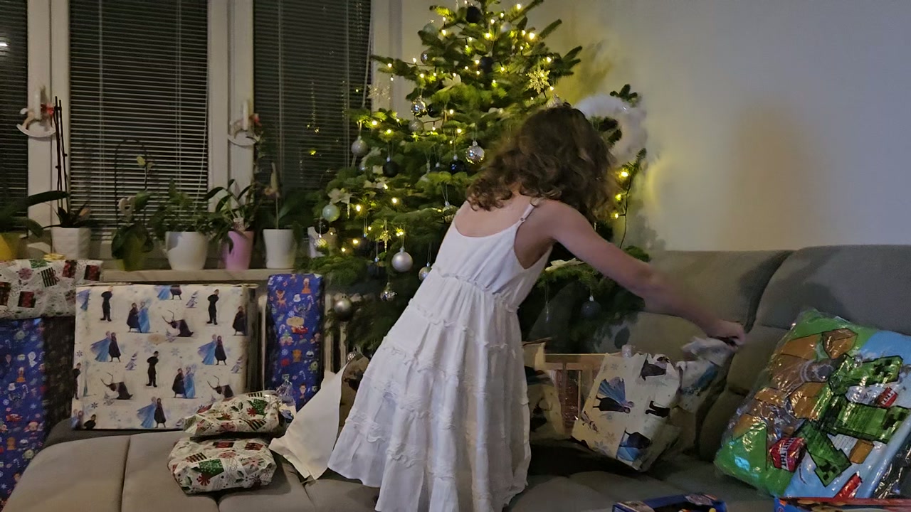 Video 24. 12. 2024 17:59