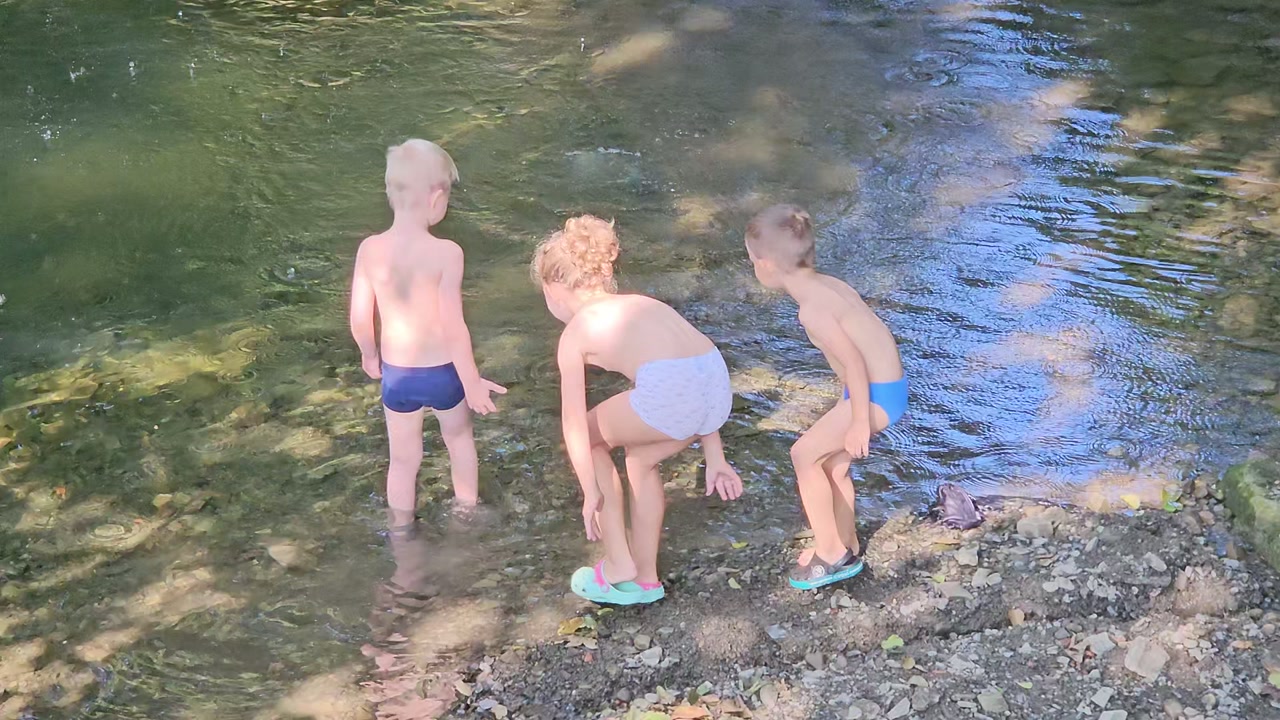 Video 24. 8. 2024 09:54