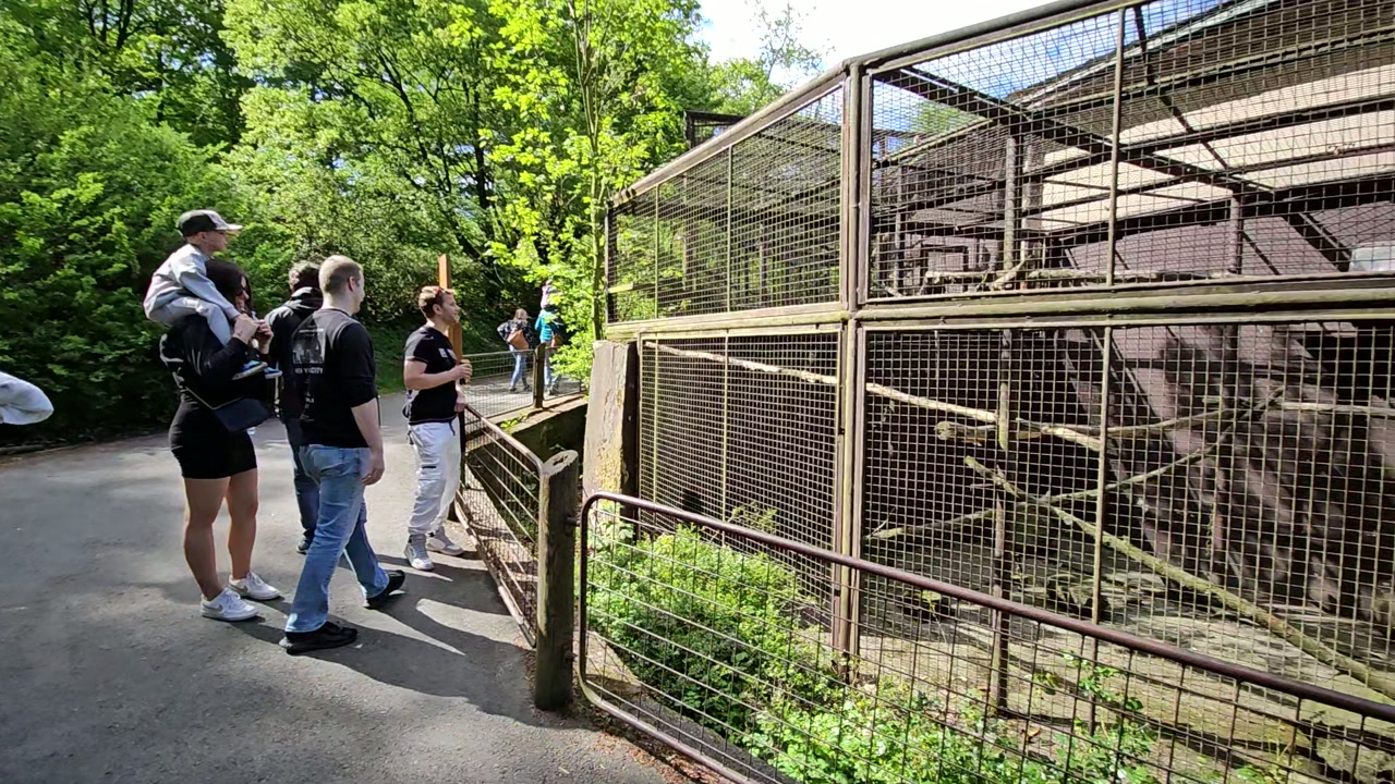 Video 26. 4. 2025 15:25