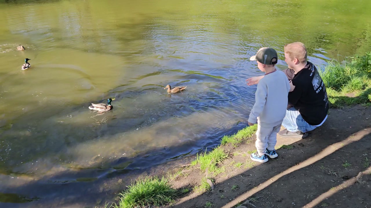 Video 26. 4. 2025 16:43