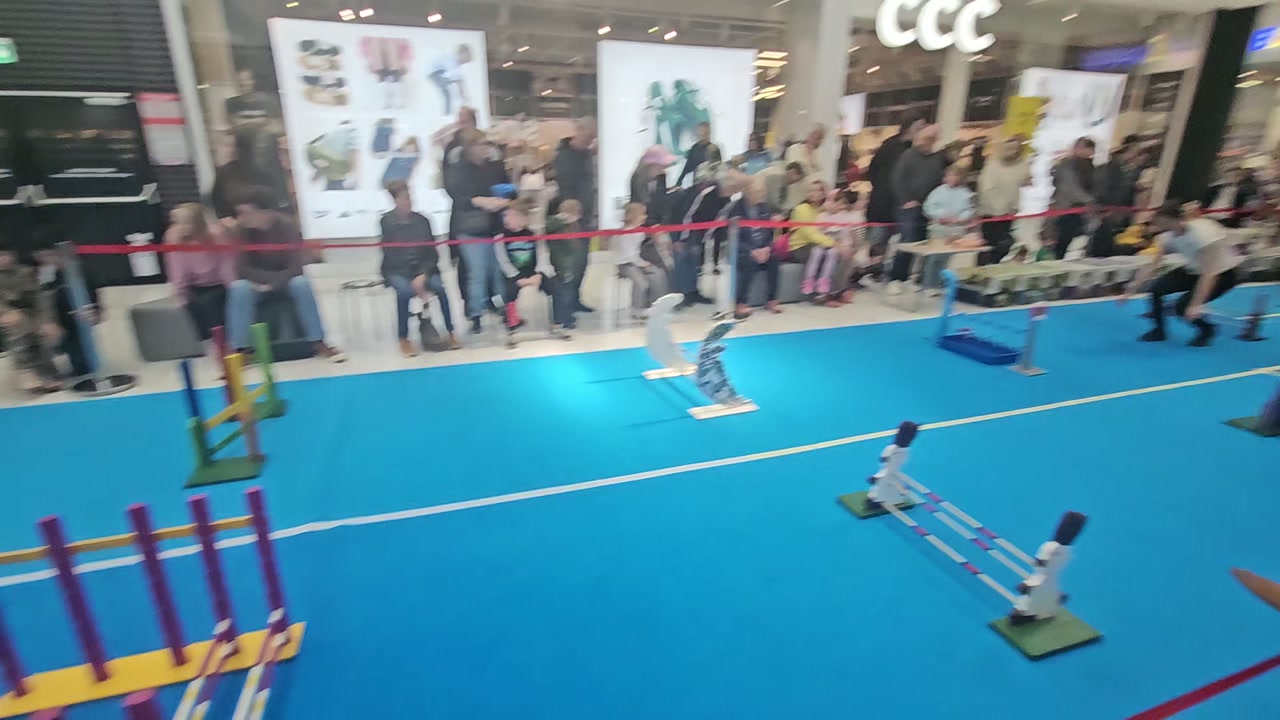 Video 26. 4. 2026 10:34
