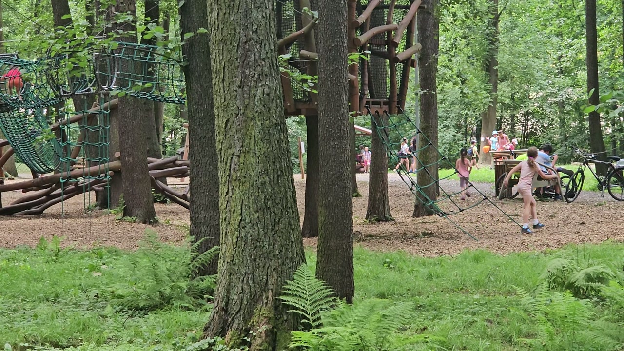 Video 3. 7. 2025 14:19