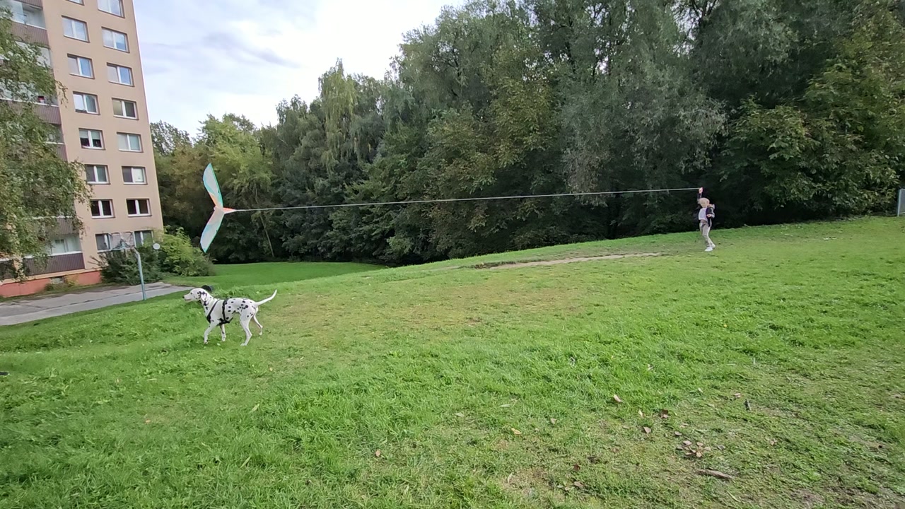 Video 5. 10. 2025 13:41