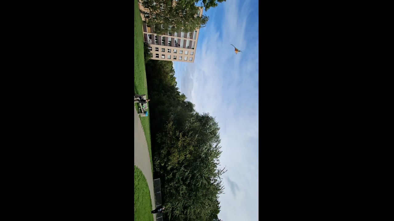 Video 5. 10. 2025 14:22
