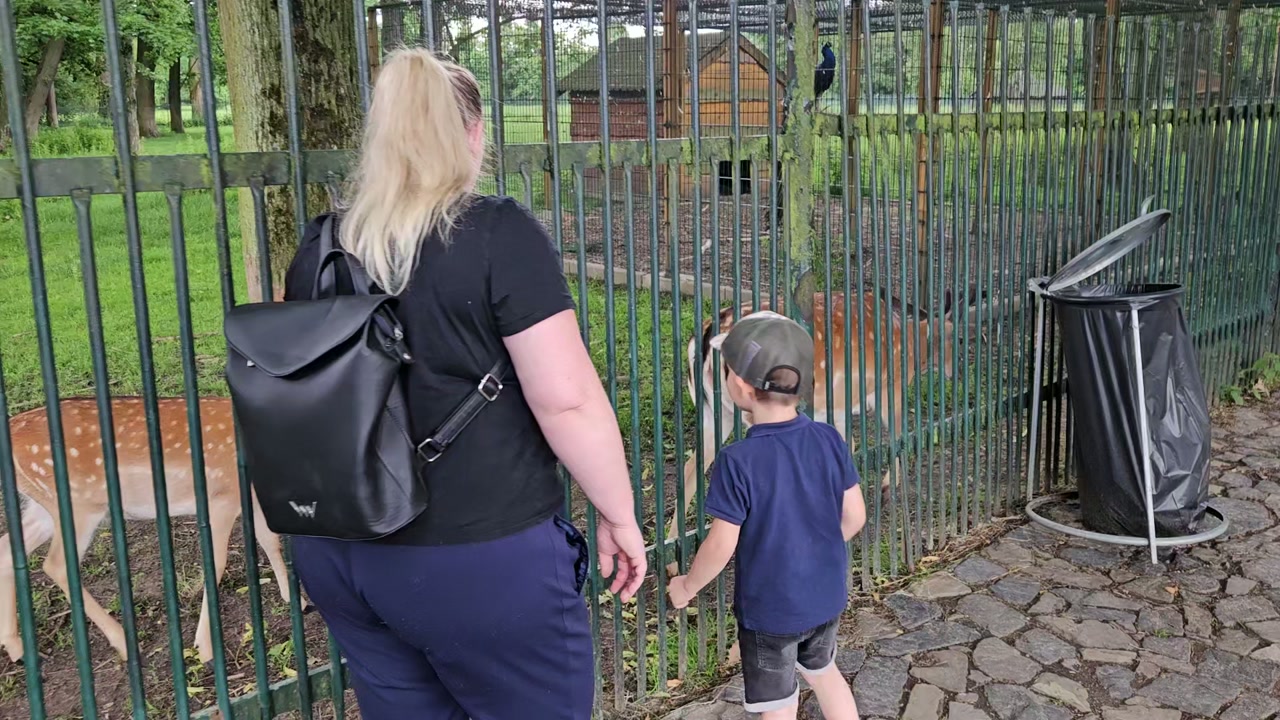 Video 7. 6. 2025 14:04