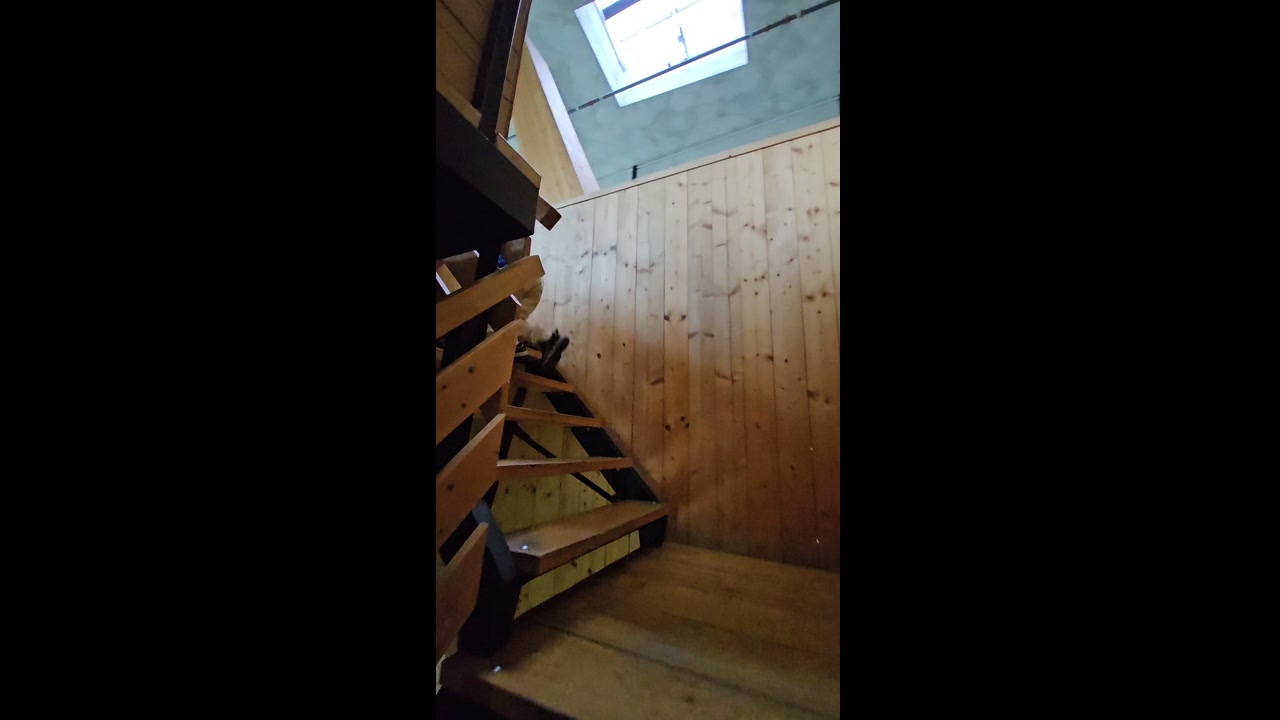 Video 7. 7. 2025 11:27