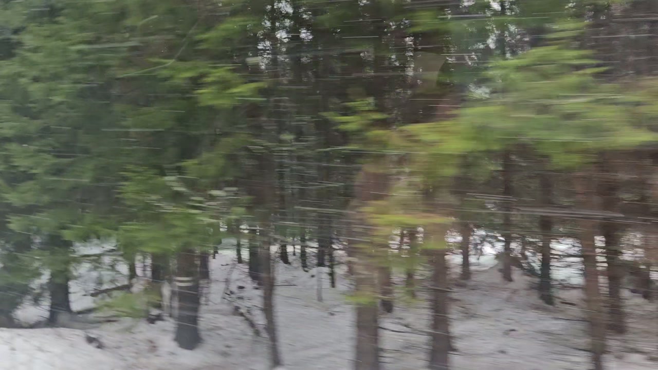 Video 8. 2. 2026 08:39
