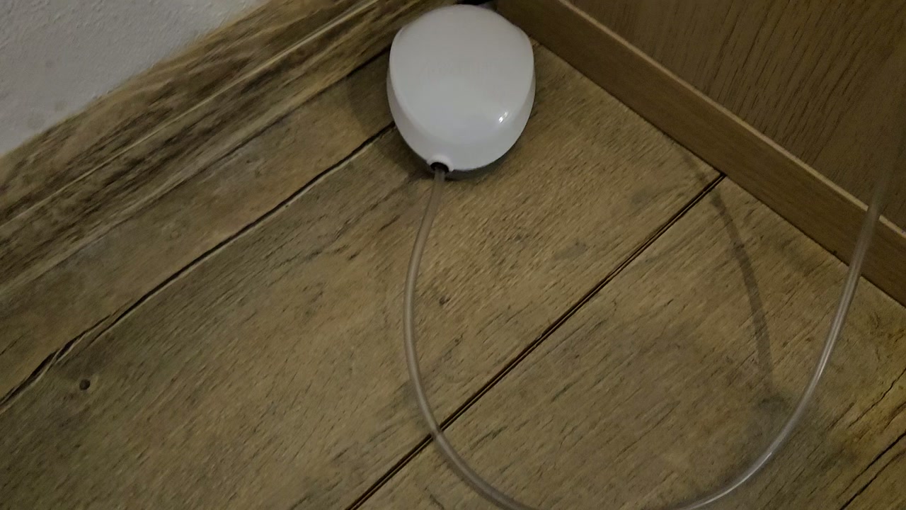 Video 8. 3. 2025 19:56