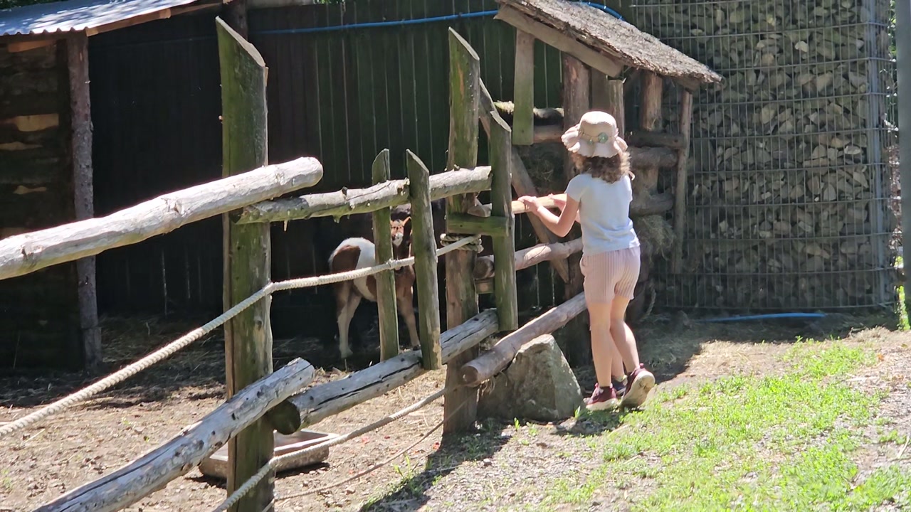 Video 8. 6. 2024 11:32