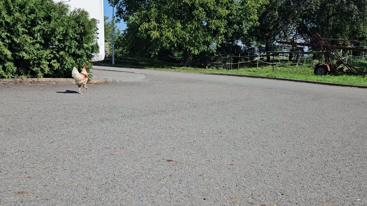 Video 9. 8. 2024 10:46